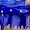 Kora Organza Half N Half Colour Saree