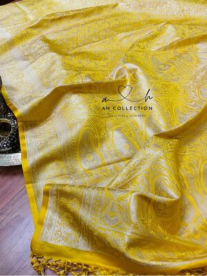 Gorgeous banarsi silk