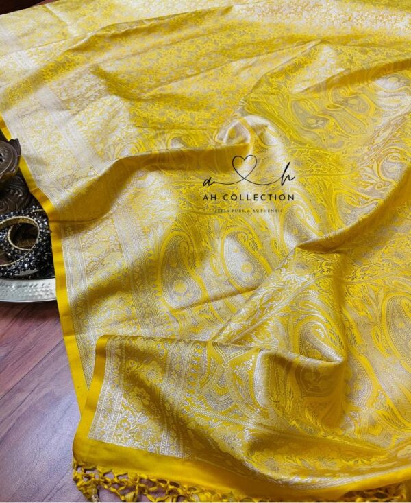 Gorgeous banarsi silk